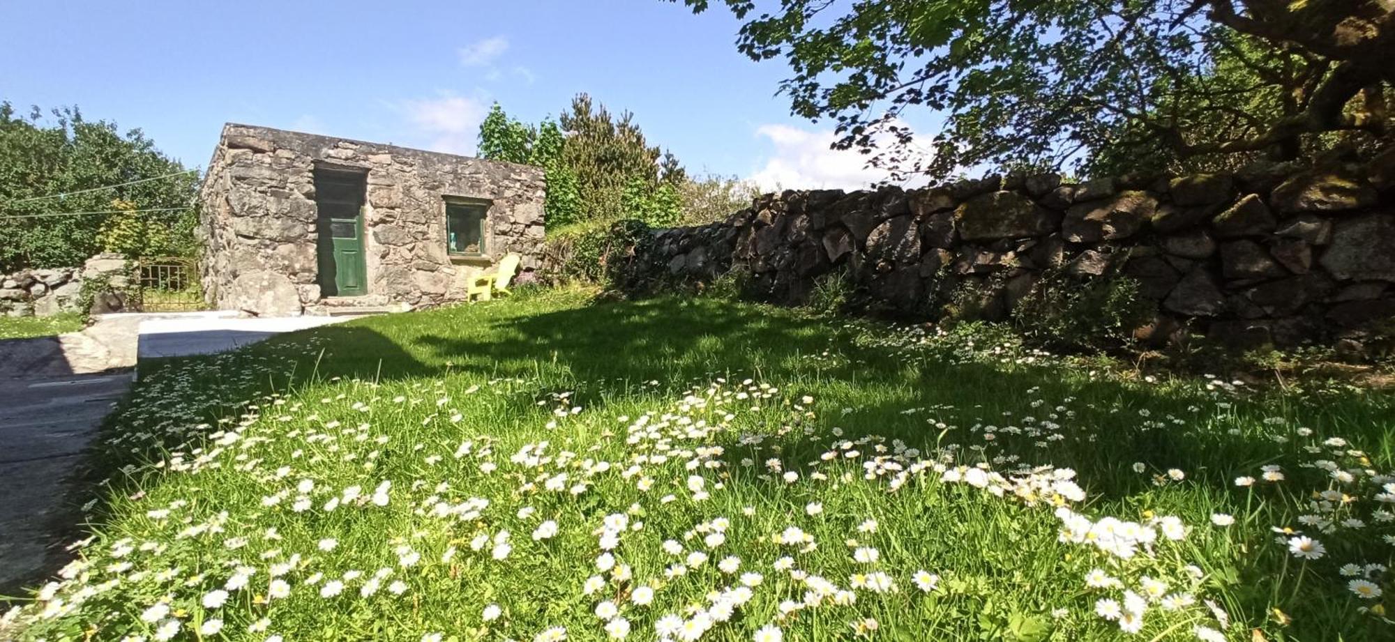 Atlantic Way Cottage Galway Rum bild